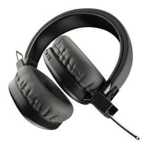 Momentum Headphone
