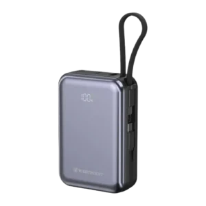 Mega Power Bank WP-2010